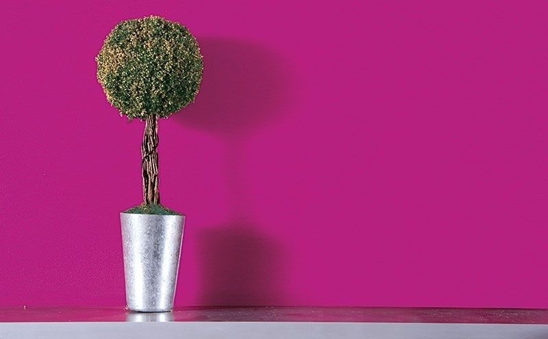 Hollywood: l'additivo perfetto per dare ancora più colore alla tua estate